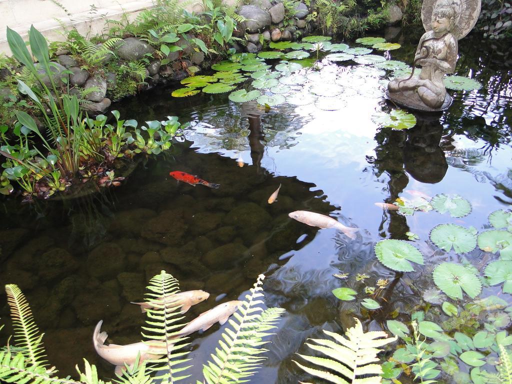 Heaven In Bali Apartment Penginyahan Luaran gambar